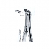 Extracting Forceps American Pattern